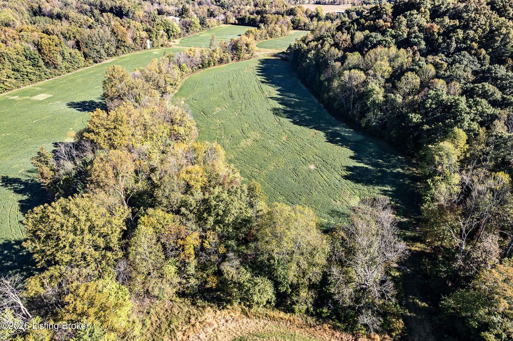 Photo of 5445 Nelsonville Rd, Boston, KY 40107 (MLS # 1707593)