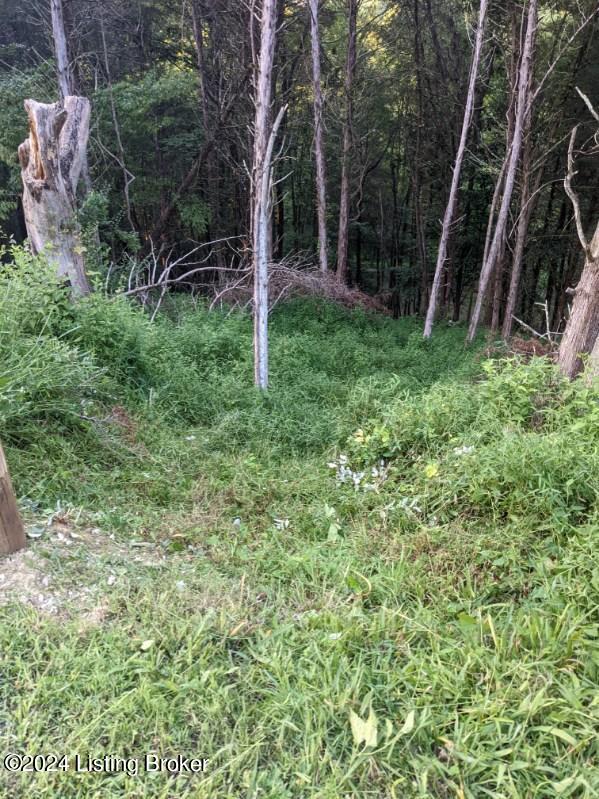 Lot 214A 215a Trailwood Lake, Bagdad, Pennsylvania image 5