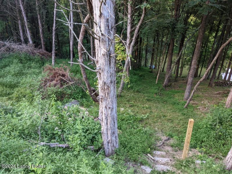 Lot 214A 215a Trailwood Lake, Bagdad, Pennsylvania image 1