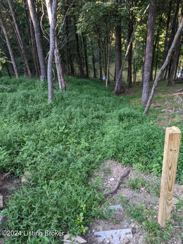Lot 214A 215a Trailwood Lake, Bagdad, Pennsylvania image 4