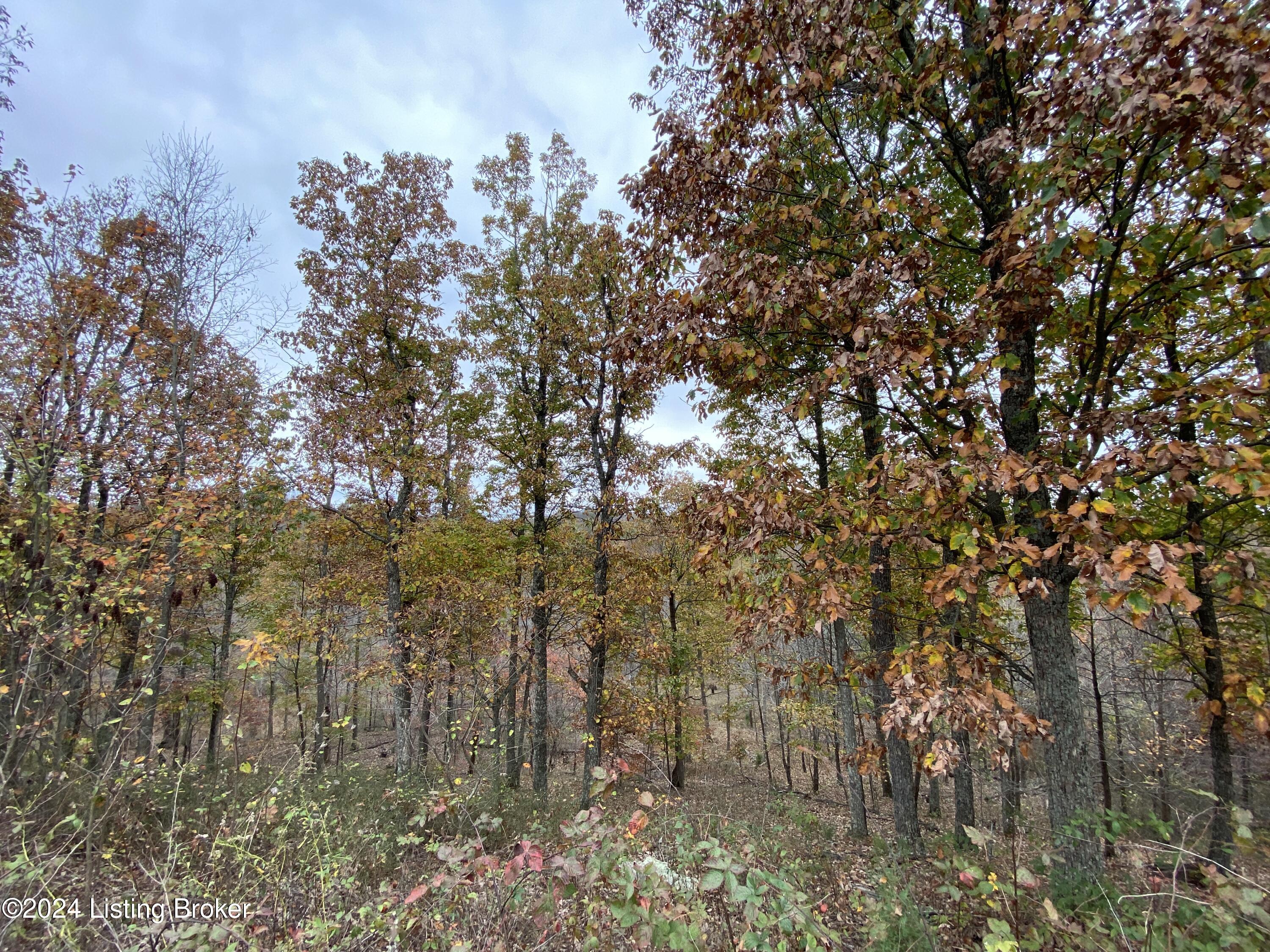 971 Junction Rd, Falls Of Rough, Kentucky image 46