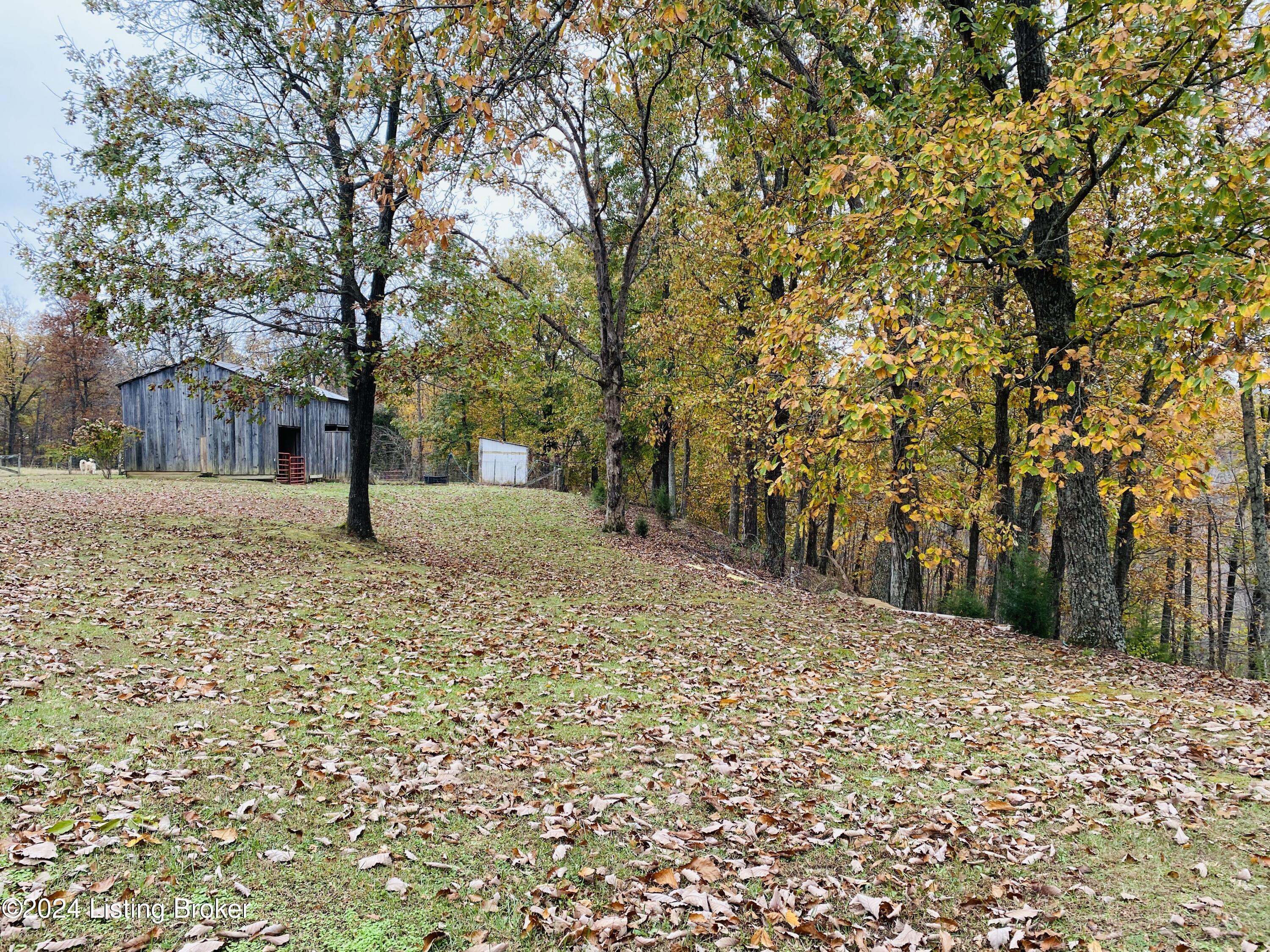 971 Junction Rd, Falls Of Rough, Kentucky image 41