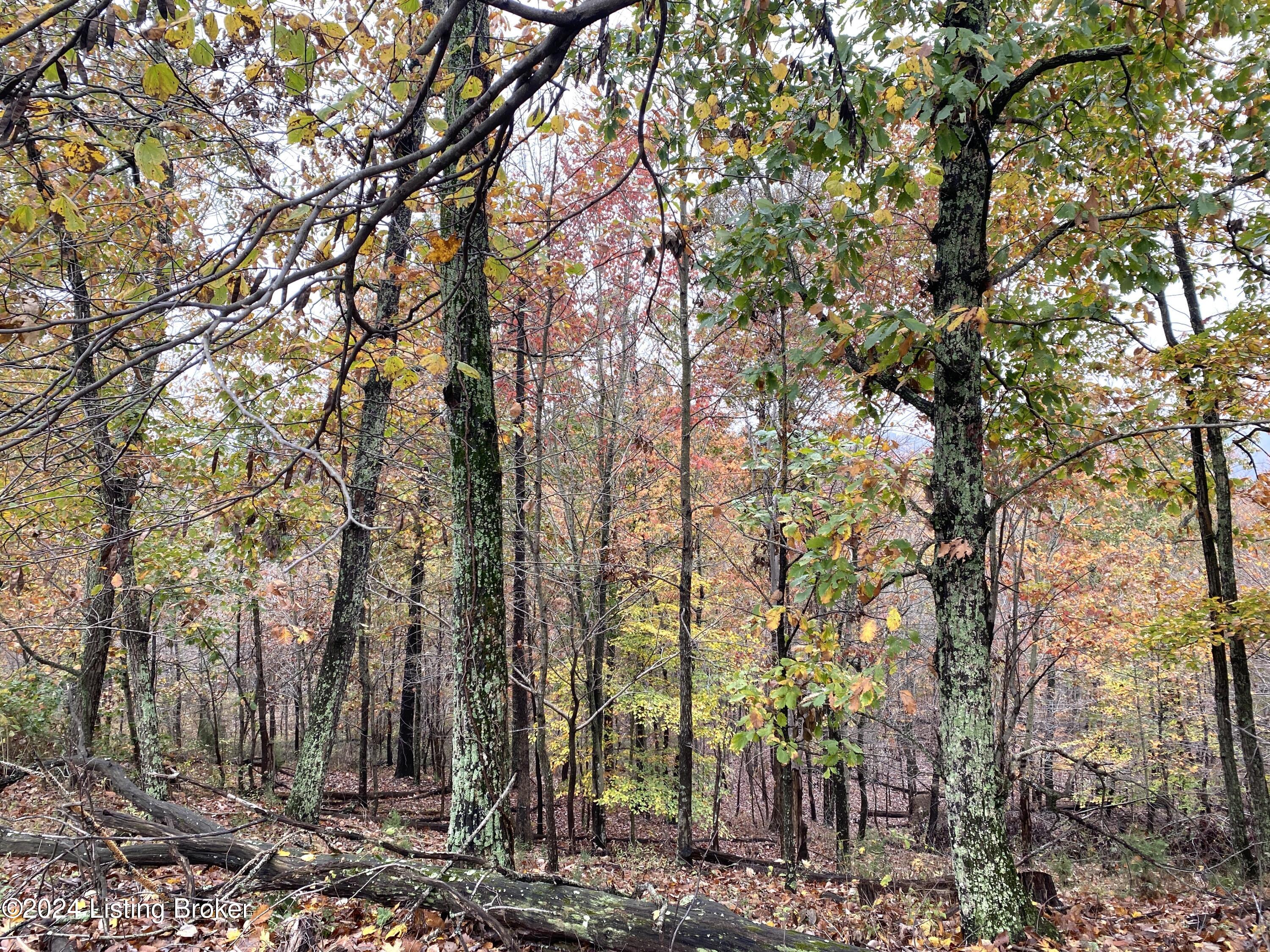 971 Junction Rd, Falls Of Rough, Kentucky image 45