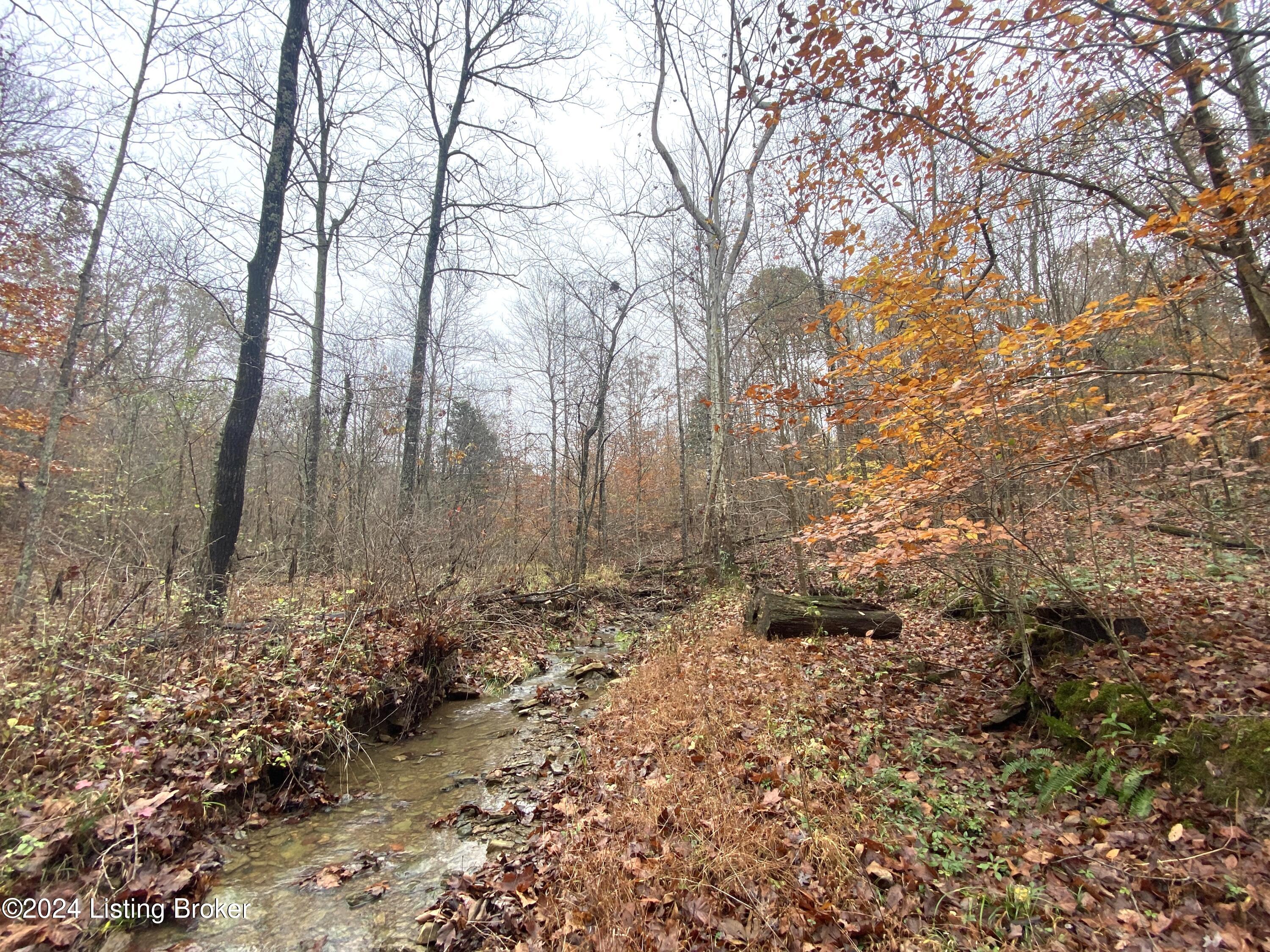 971 Junction Rd, Falls Of Rough, Kentucky image 43