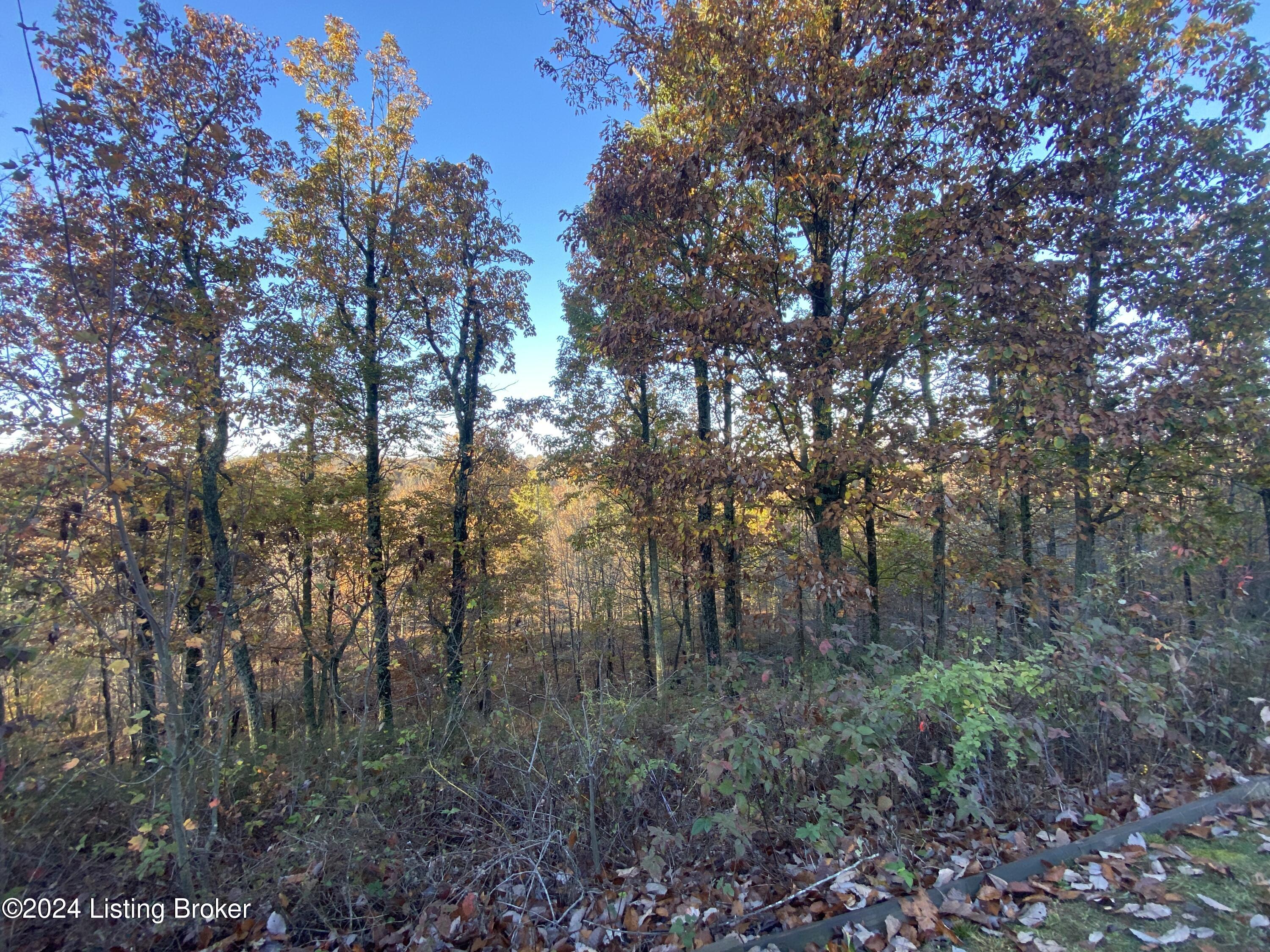 971 Junction Rd, Falls Of Rough, Kentucky image 40