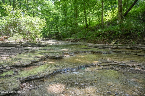 Vacant Land For Sale - TRACT C Bowman Ln<br/> Taylorsville, KY 40071