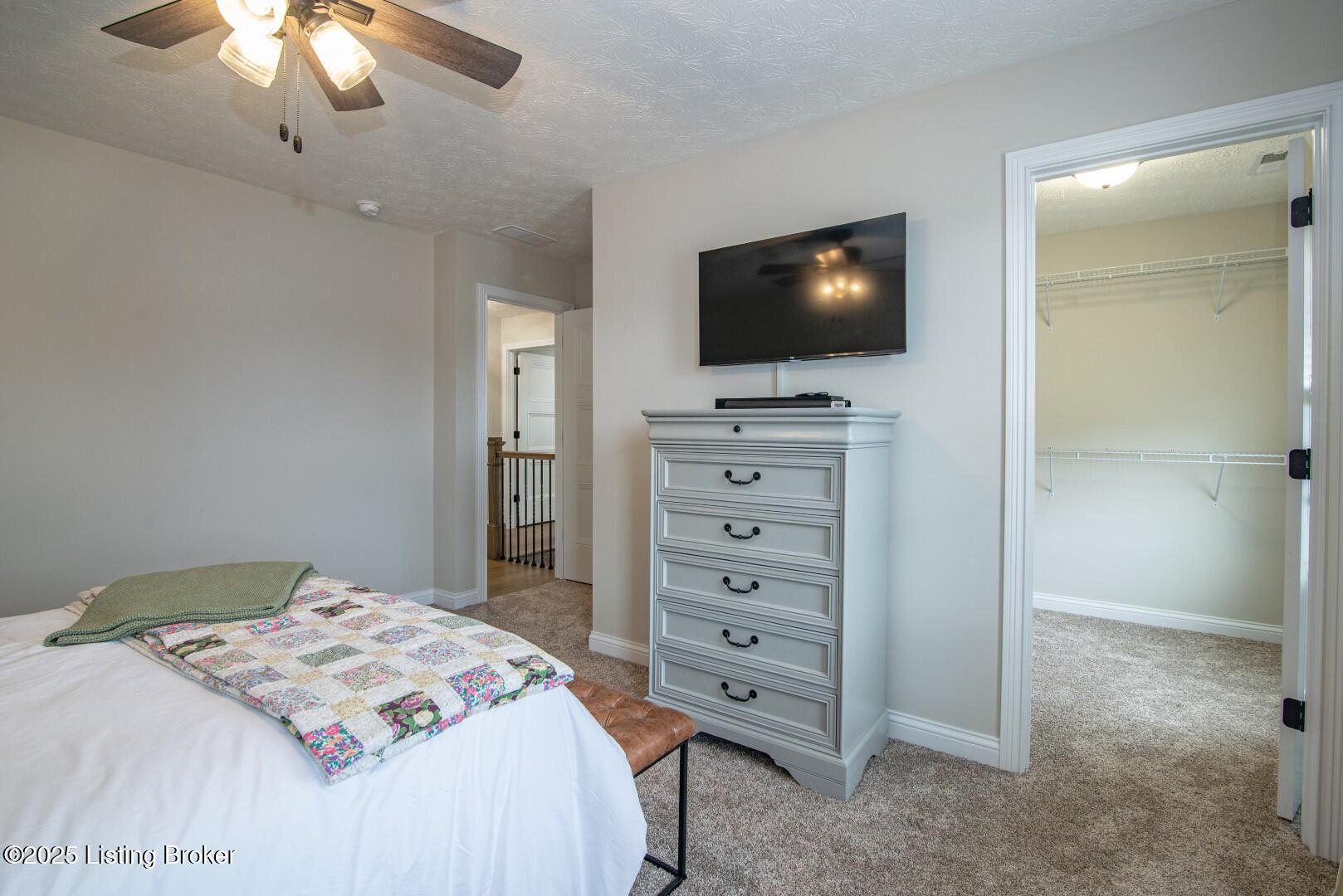 172 Mt Carmel Blvd, Rineyville, Kentucky image 47