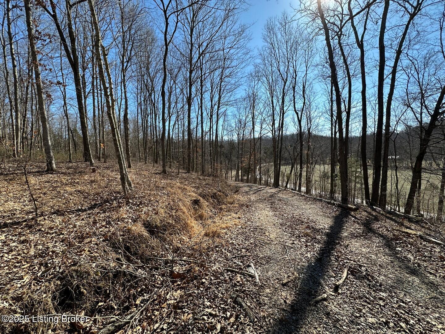 Dog Creek Rd, Caneyville, Kentucky image 11
