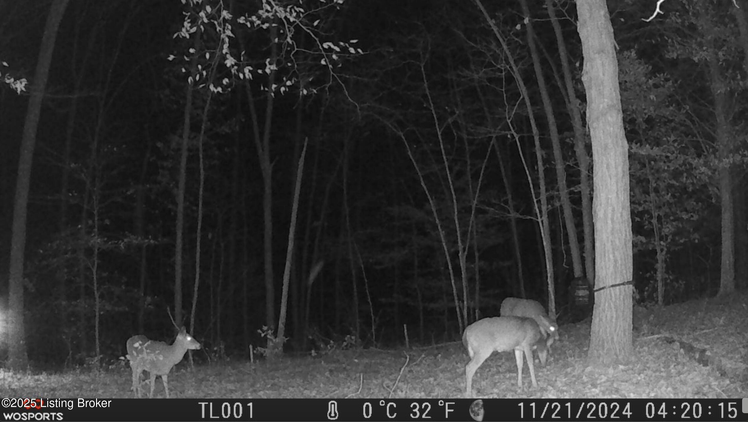 Dog Creek Rd, Caneyville, Kentucky image 5