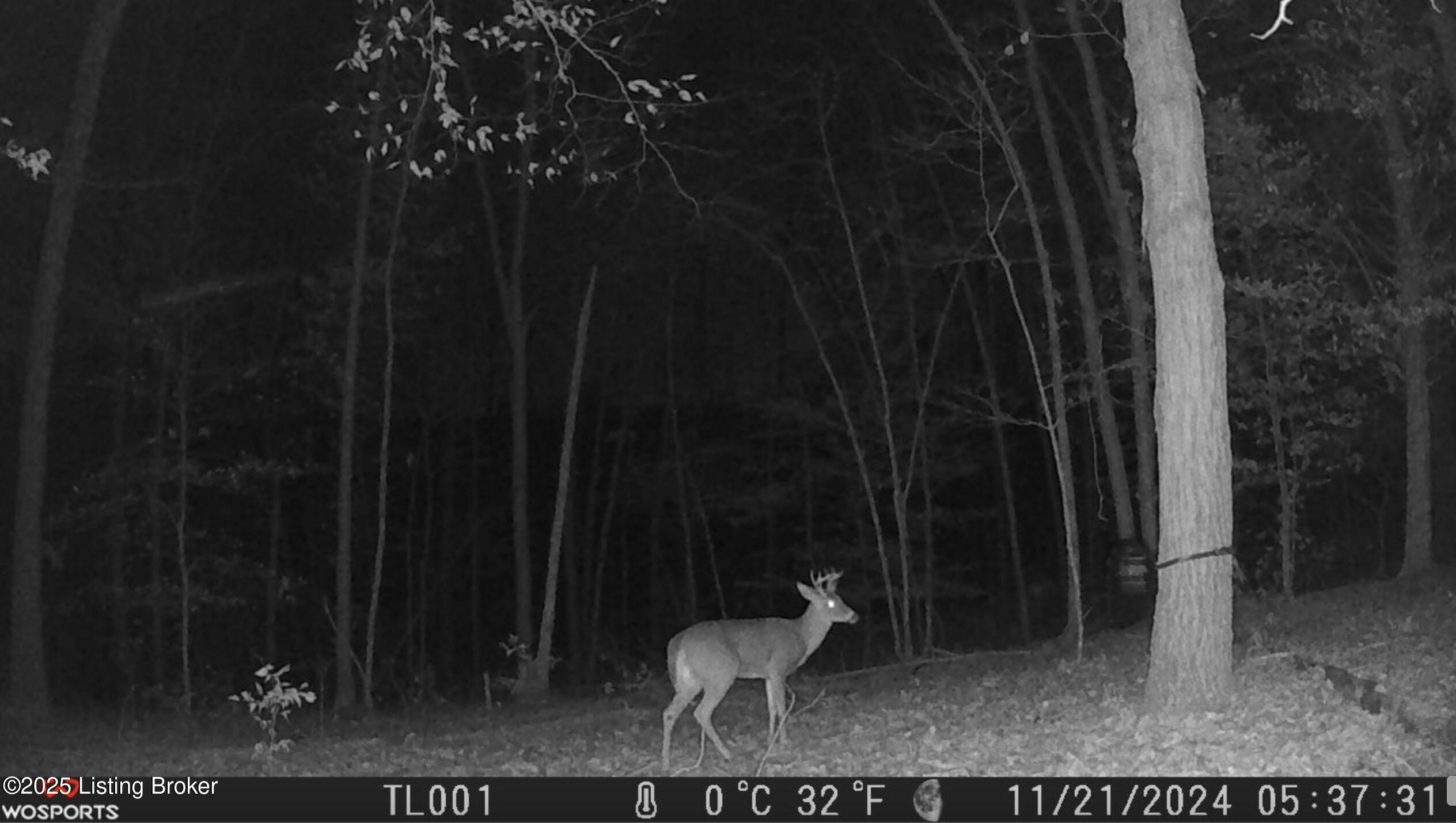 Dog Creek Rd, Caneyville, Kentucky image 30