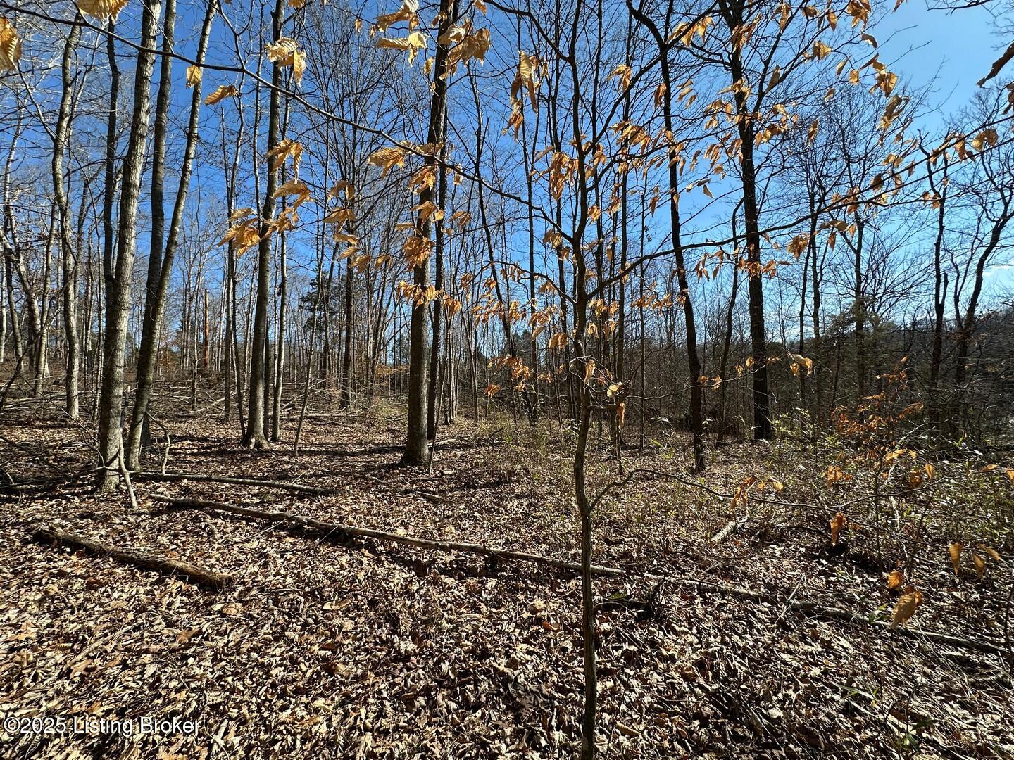 Dog Creek Rd, Caneyville, Kentucky image 16