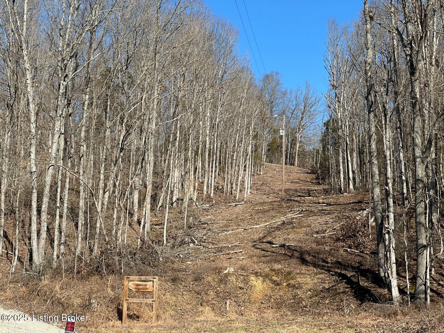 Dog Creek Rd, Caneyville, Kentucky image 12