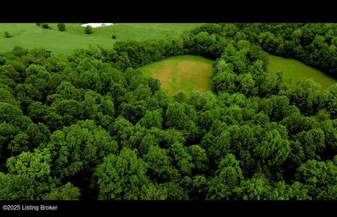 Vacant Land For Sale - 5579 Falls Of The Rough Rd<br/> Caneyville, KY 42721