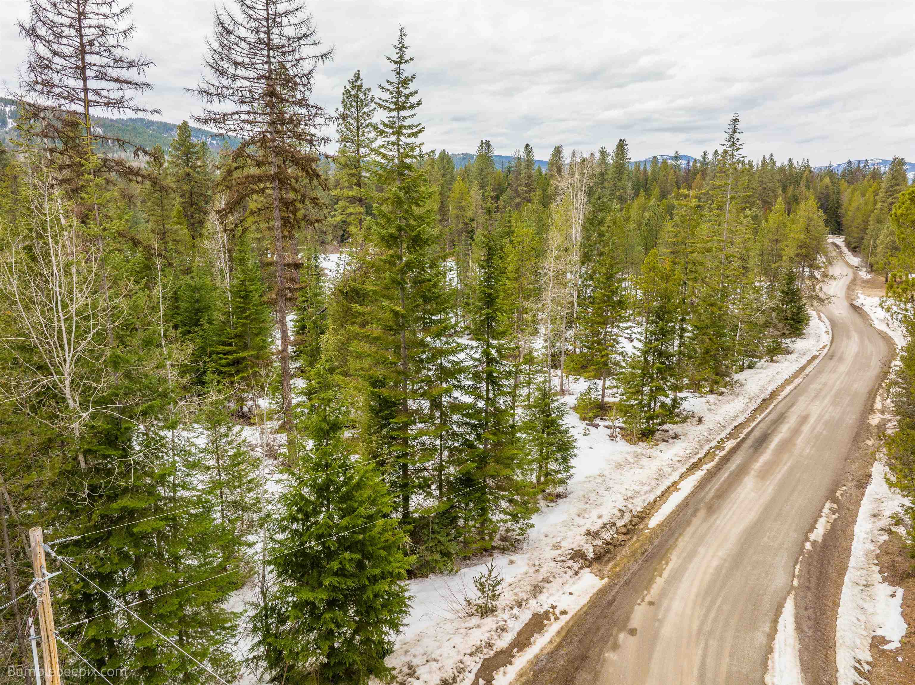 Cusick, Washington 99119, United States, ,Land,Active,50242