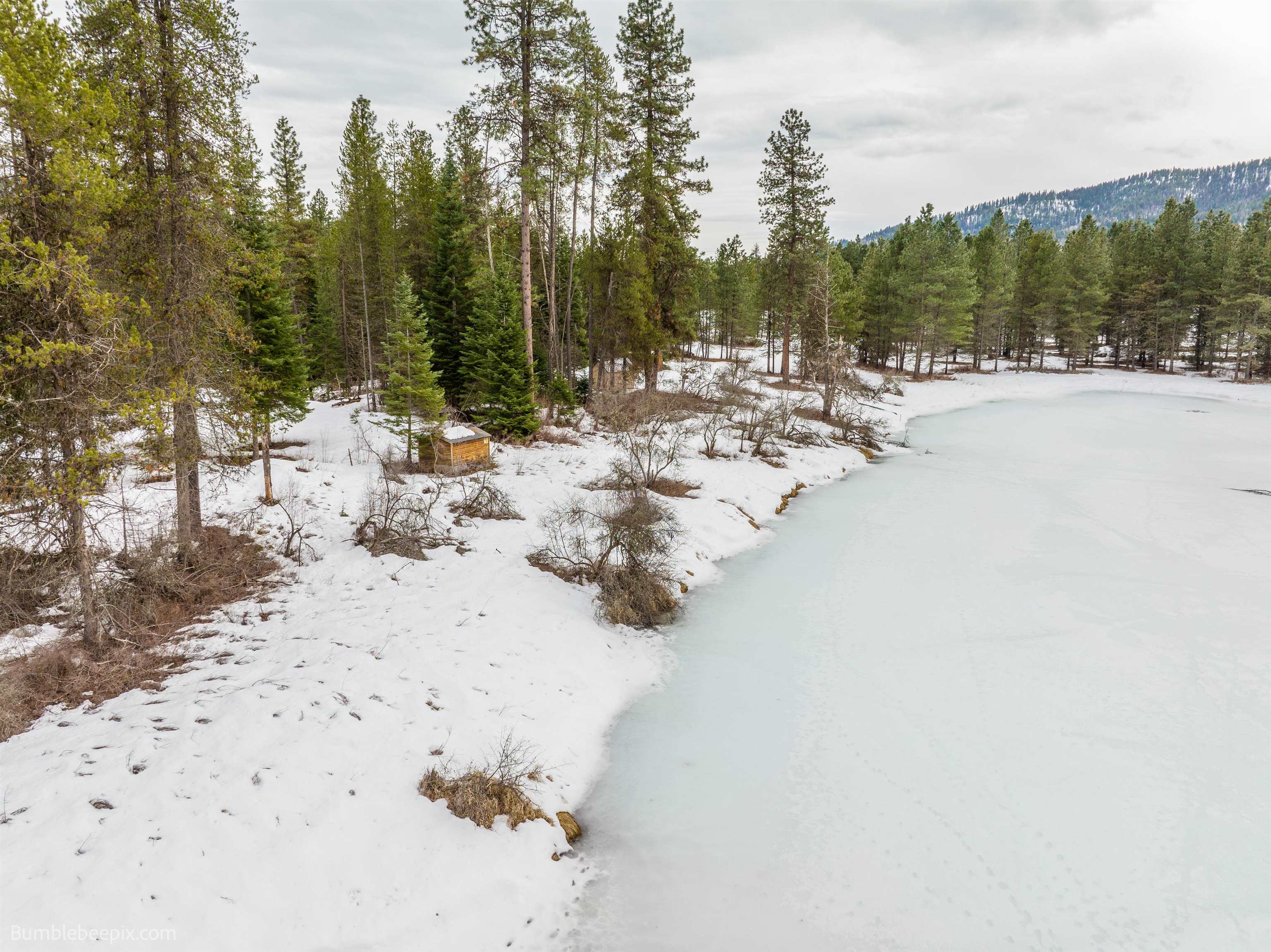 Cusick, Washington 99119, United States, ,Land,Active,50242