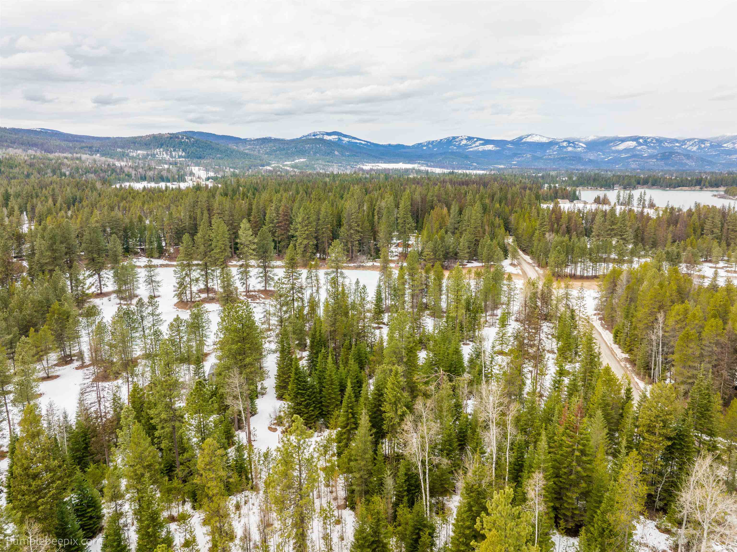 Cusick, Washington 99119, United States, ,Land,Active,50242