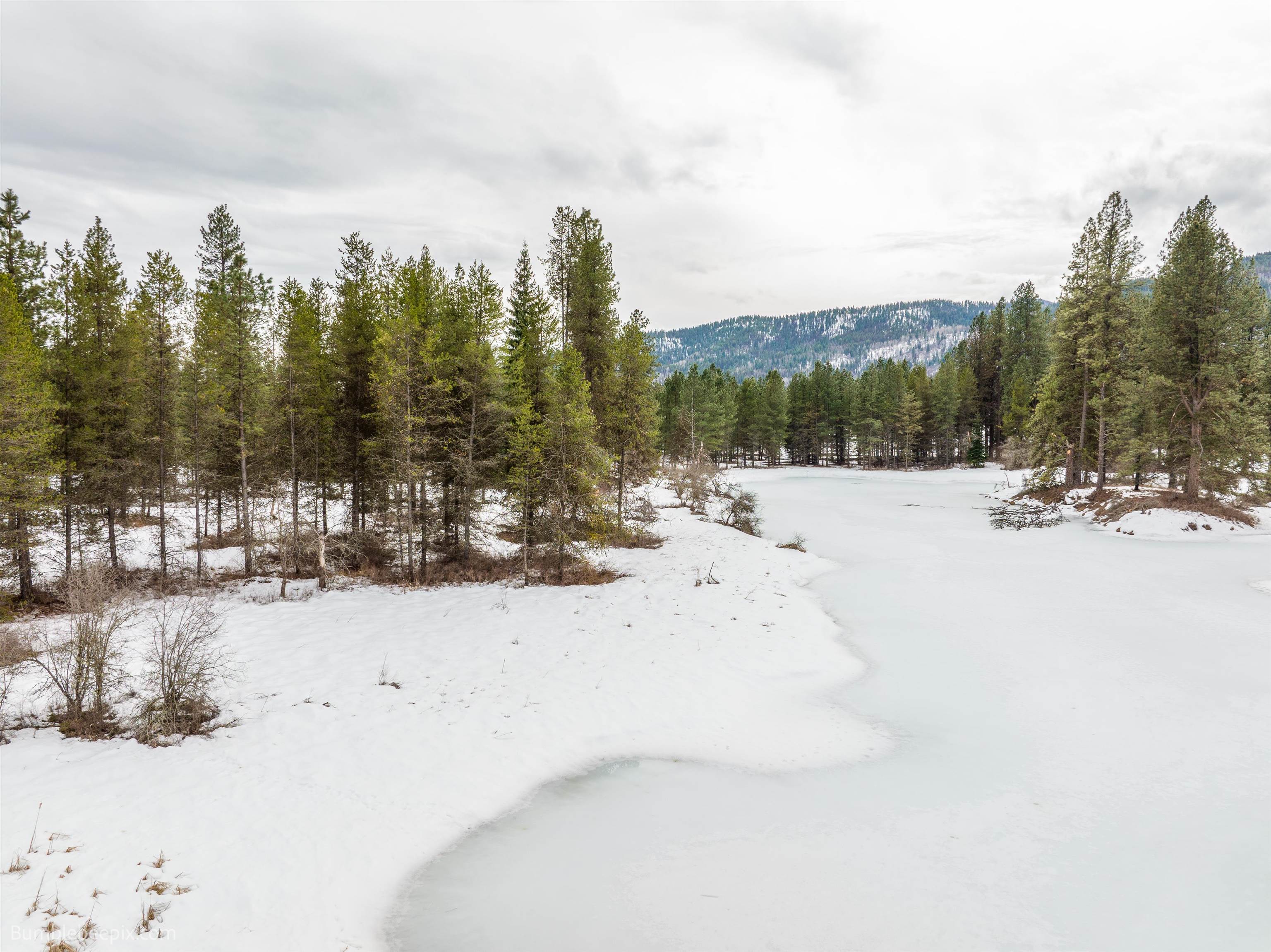 Cusick, Washington 99119, United States, ,Land,Active,50242