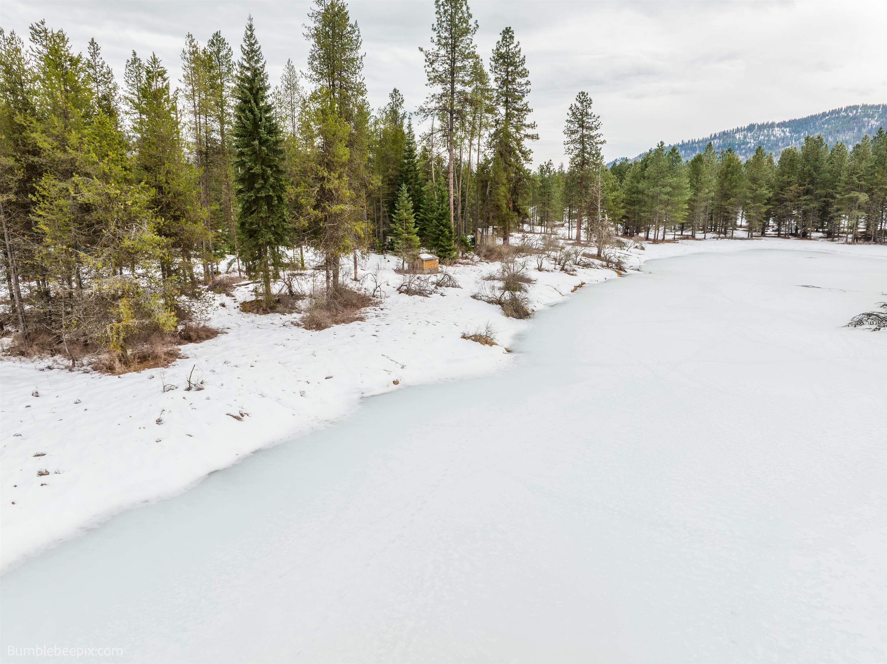 Cusick, Washington 99119, United States, ,Land,Active,50242