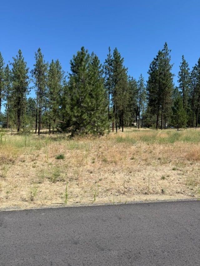 Photo of Lot 15 Long Lake Estates Est, Nine Mile Falls, WA 99026 (MLS # 202620859)