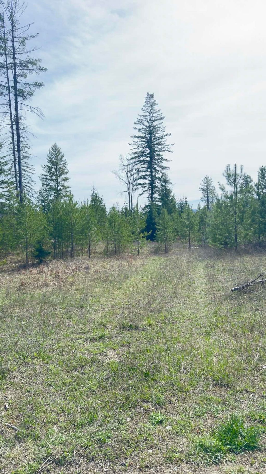 Photo of NKN Evergreen Rd, Ione, WA 99139 (MLS # 202616171)
