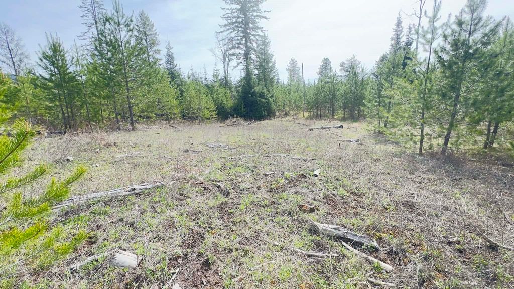 Photo of NKN Evergreen Rd, Ione, WA 99139 (MLS # 202616171)