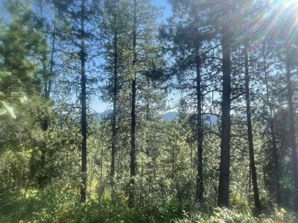 Photo of NKN Bead Lake Road Rd, Newport, WA 99156 (MLS # 202611922)