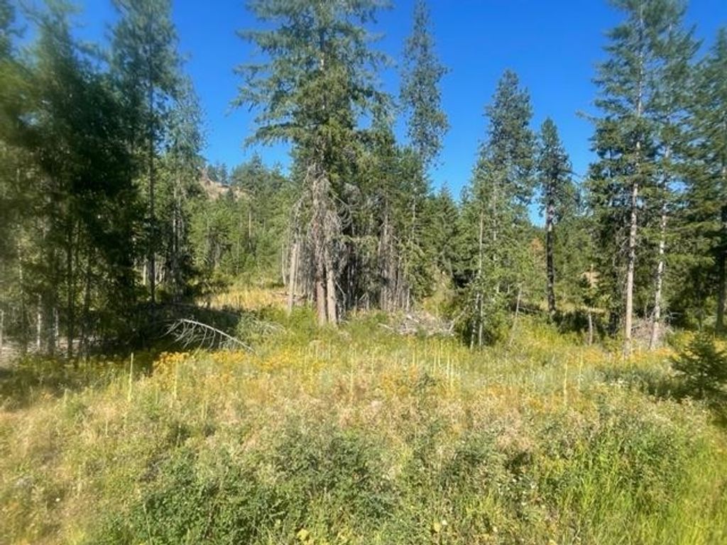 Photo of NKN Bead Lake Road Rd, Newport, WA 99156 (MLS # 202611922)