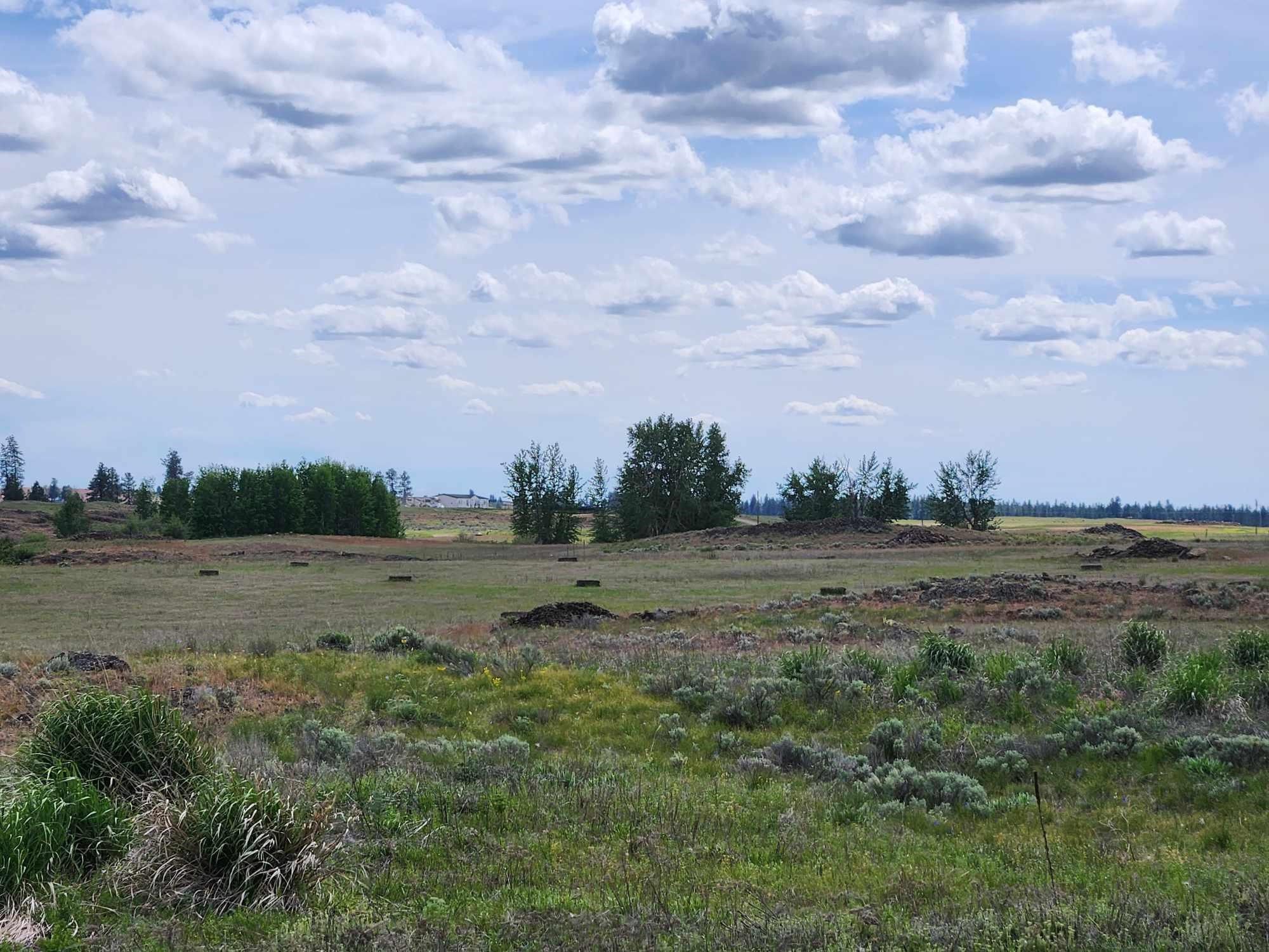 View Medical Lake, WA 99022 land