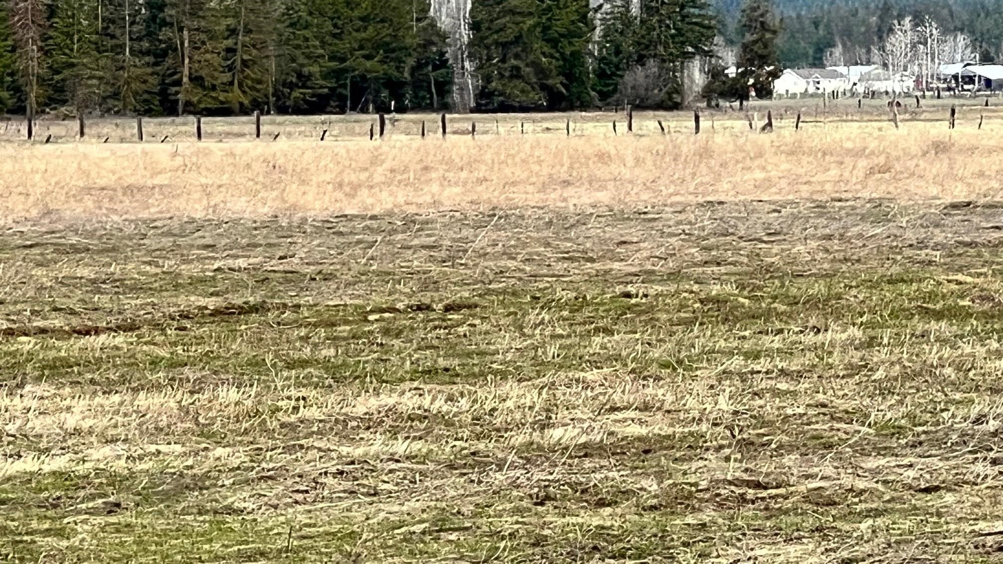 Photo 12 of 29 of XXXX W Hattery-Owens Rd land