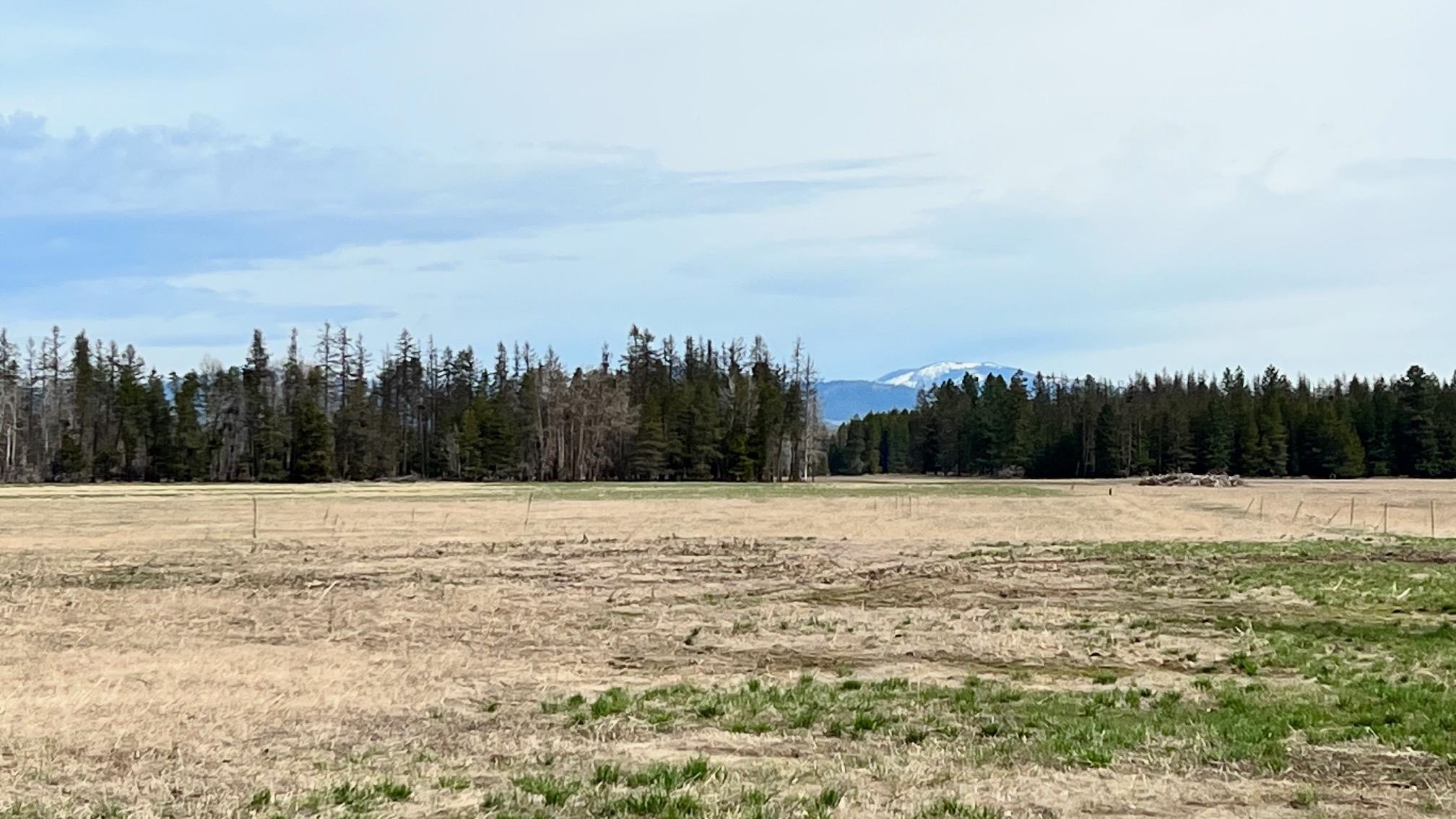 Photo 23 of 29 of XXXX W Hattery-Owens Rd land