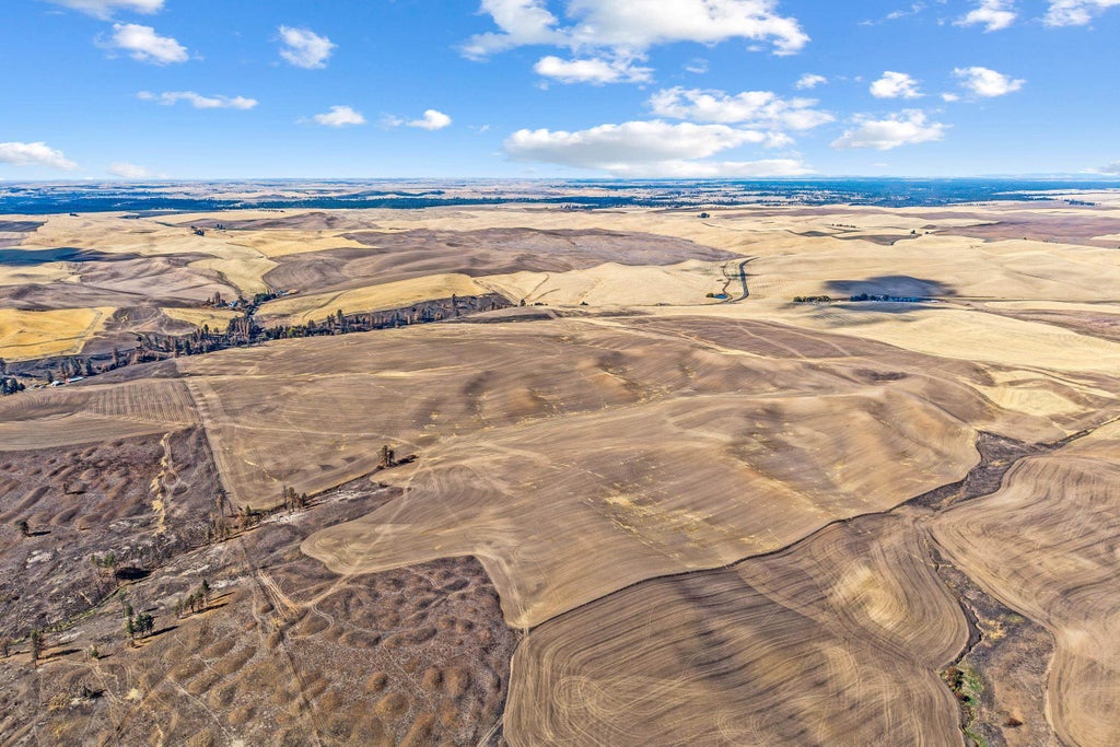 Photo of TBD Wells Rd, Malden, WA 99149 (MLS # 202626108)