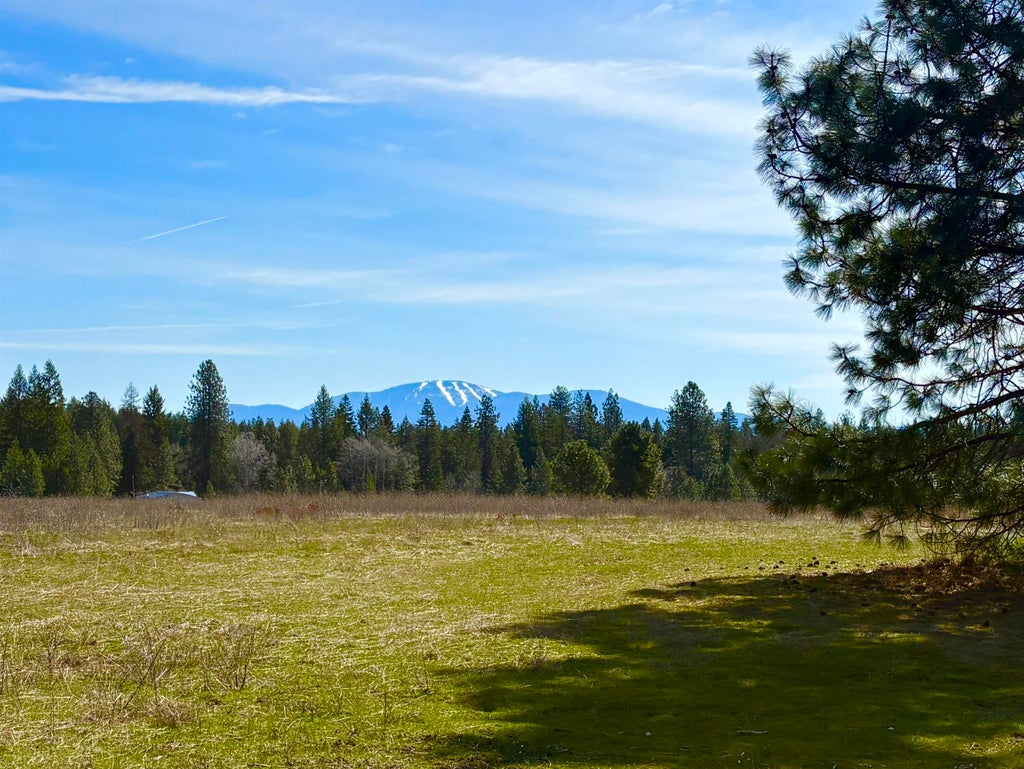 Photo of 280 Brook Dr, Elk, WA 99009 (MLS # 202622308)