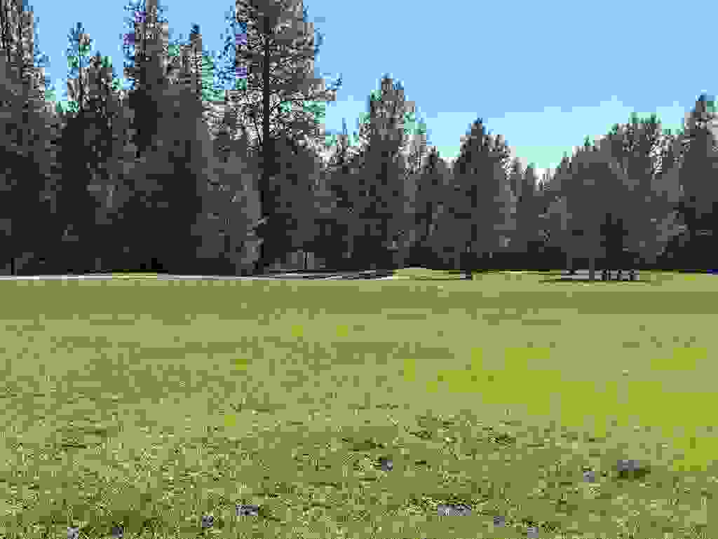 Photo of 280 Brook Dr, Elk, WA 99009 (MLS # 202622308)