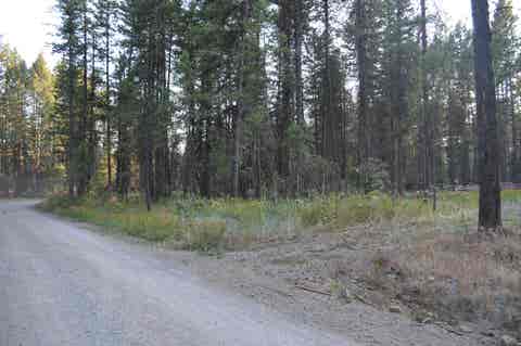 Featured picture for the property 202418753