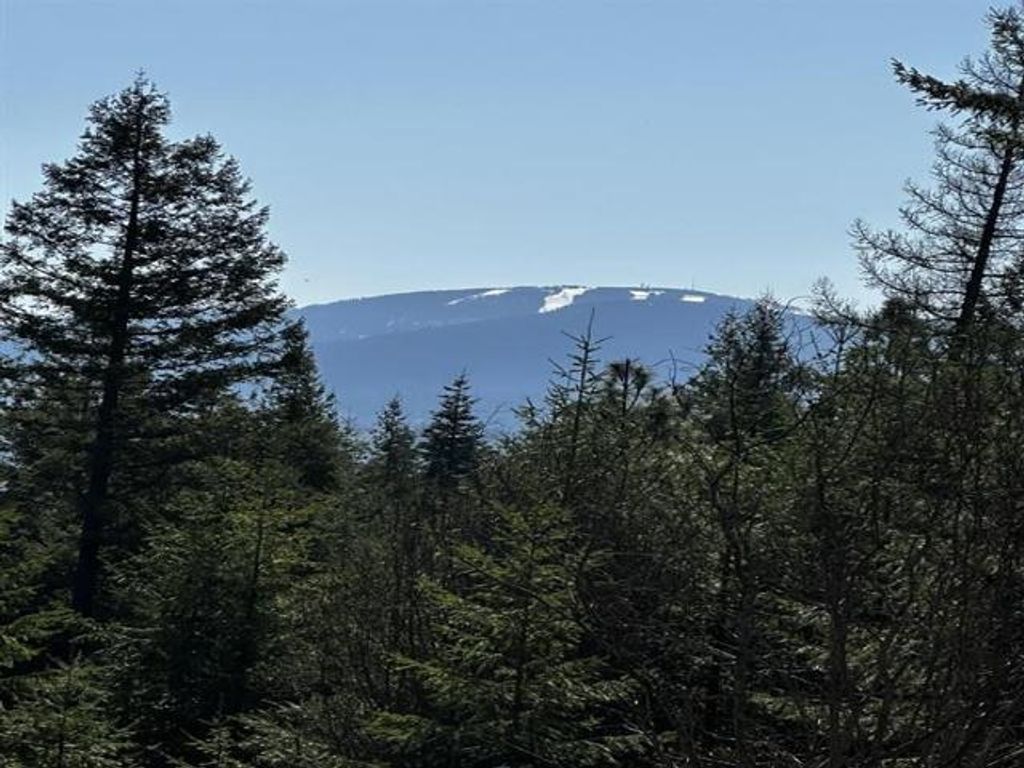 Photo of TBD Waldrons Ln, Chattaroy, WA 99009 (MLS # 202616027)