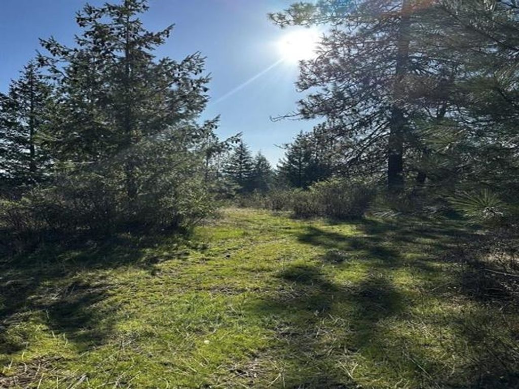 Photo of TBD Waldrons Ln, Chattaroy, WA 99009 (MLS # 202616027)