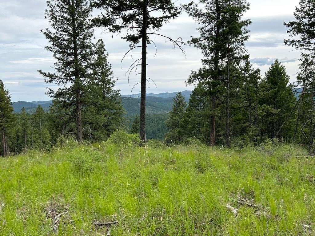Photo of 36XX Lot Q Sheridan Rd, Republic, WA 99166 (MLS # 202624660)