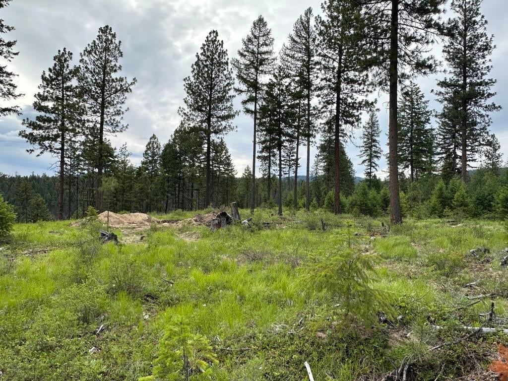Photo of 36XX Lot Q Sheridan Rd, Republic, WA 99166 (MLS # 202624660)