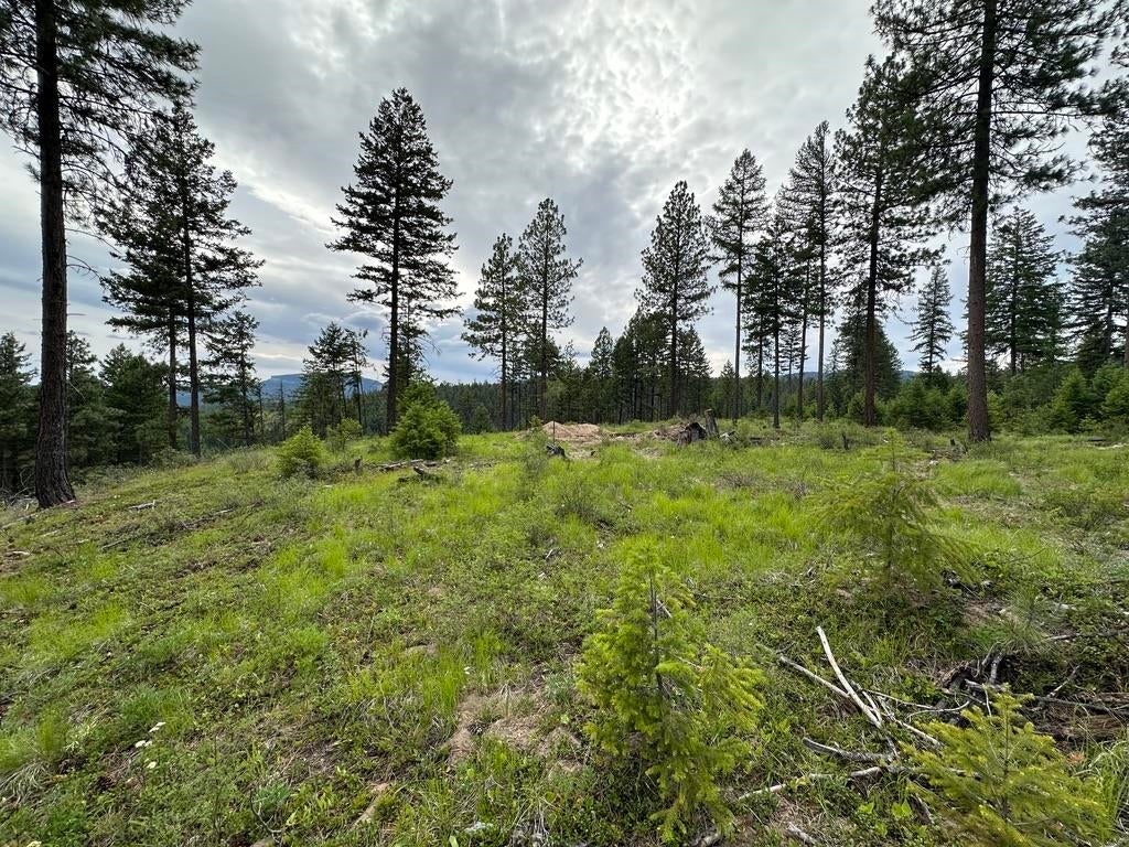 Photo of 36XX Lot Q Sheridan Rd, Republic, WA 99166 (MLS # 202624660)