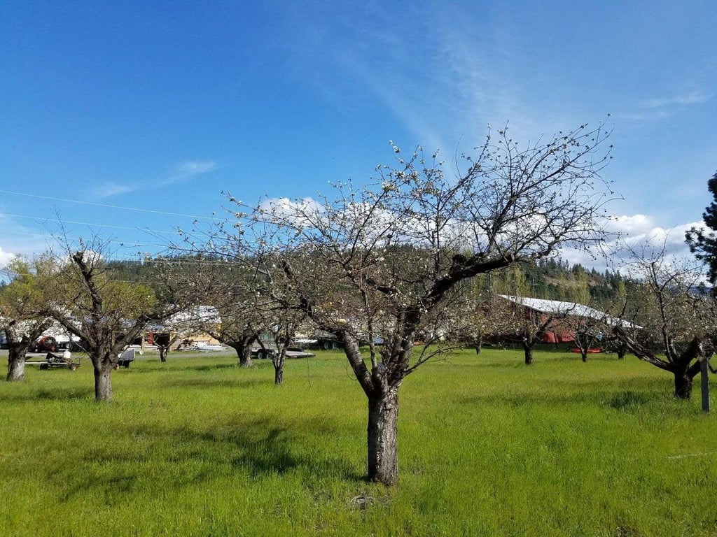 Photo of 1244 Peachcrest Rd, Kettle Falls, WA 99141 (MLS # 202621051)