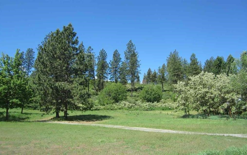 Photo of 29411 N Dunn Rd, Chattaroy, WA 99003 (MLS # 202623337)