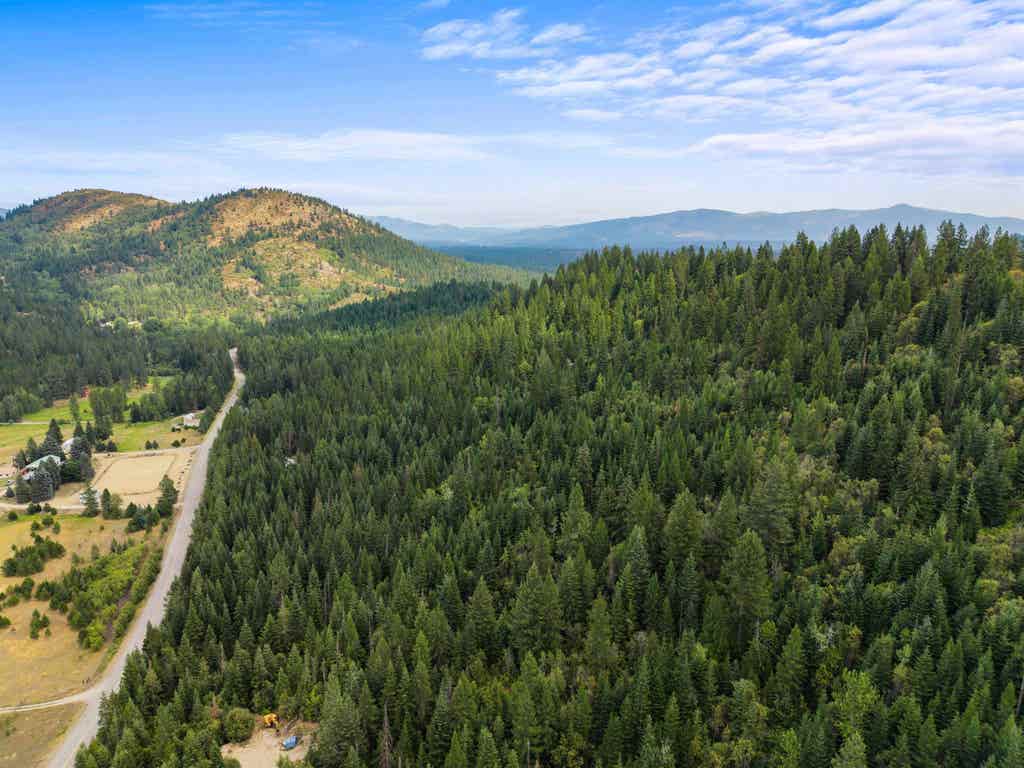 Photo of 4851 Coyote Trl, Newport, WA 99156 (MLS # 202622990)