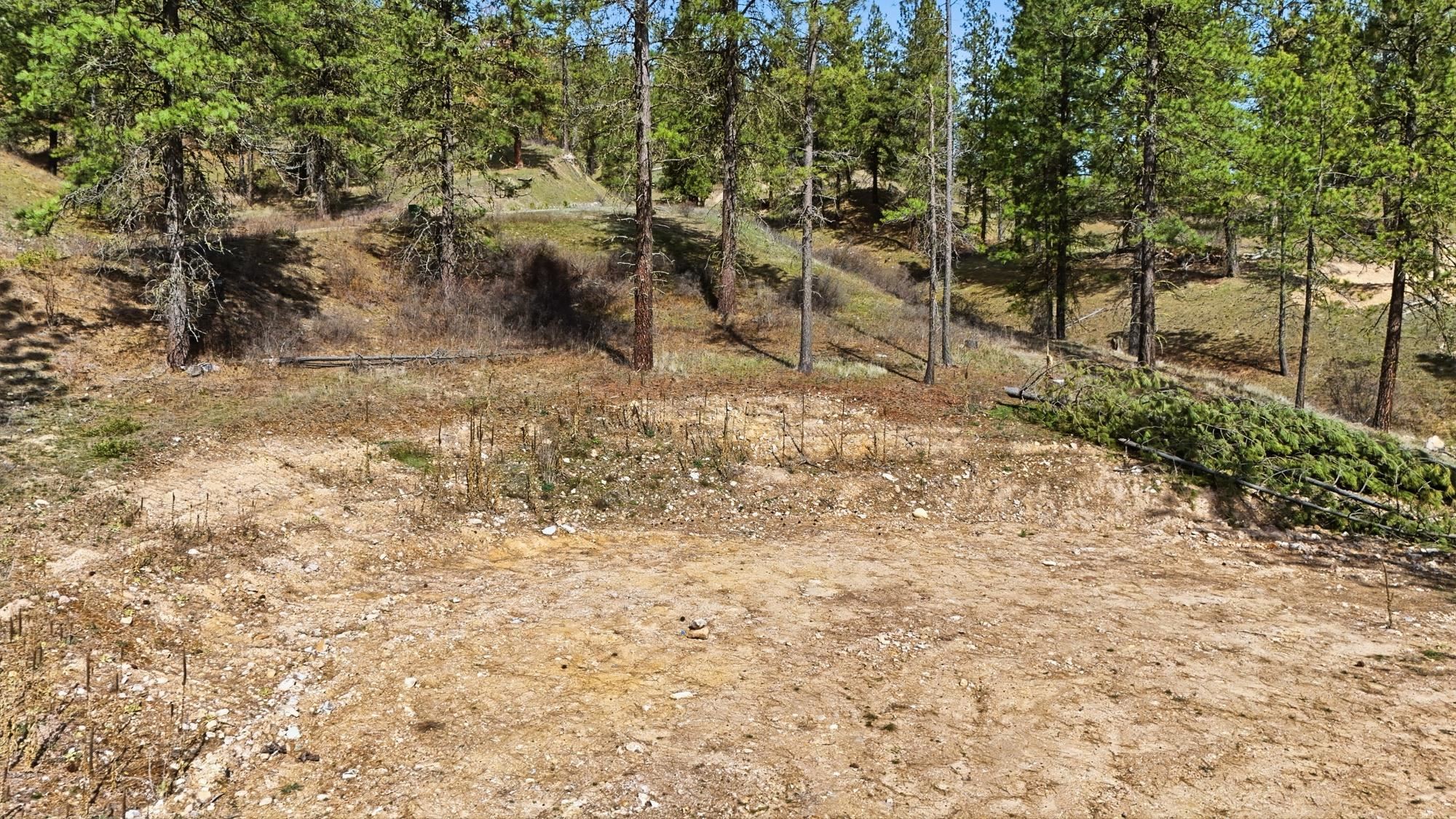 Photo 1 of 24 — 2600 Pine Top Blk Rd, Chewelah, WA 99109