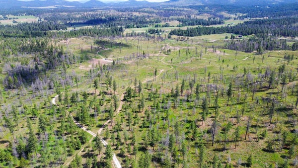 N CONKLIN RD, ELK, WA 99009 - Image 0e2abdc27dadc8a80a9f51d0b5e244a2/3787788660
