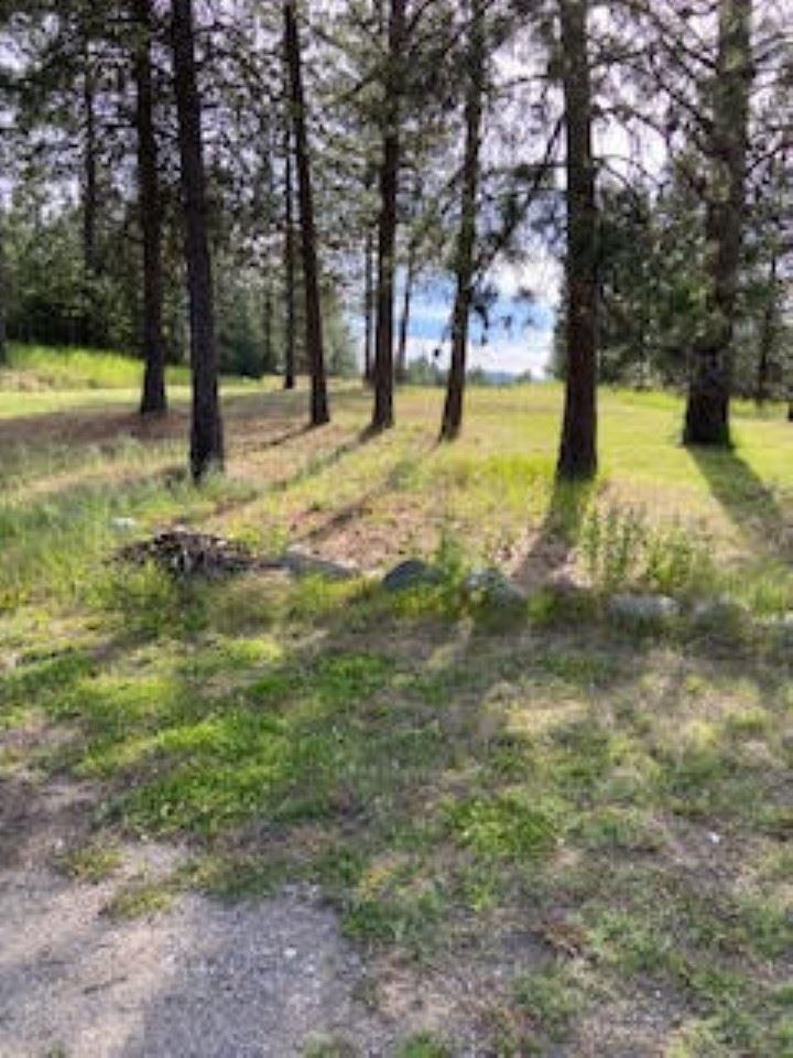 Photo 1 of 19 — 108 S Main St, Springdale, WA 99173