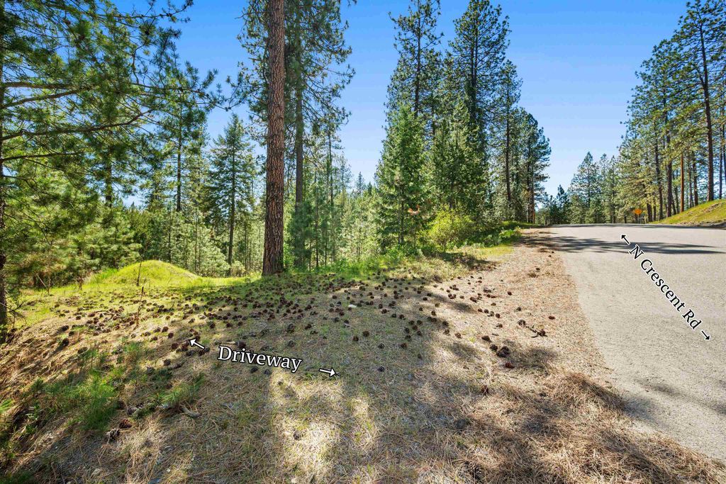 Photo of 230XX N Crescent Rd, Colbert, WA 99005 (MLS # 202616153)