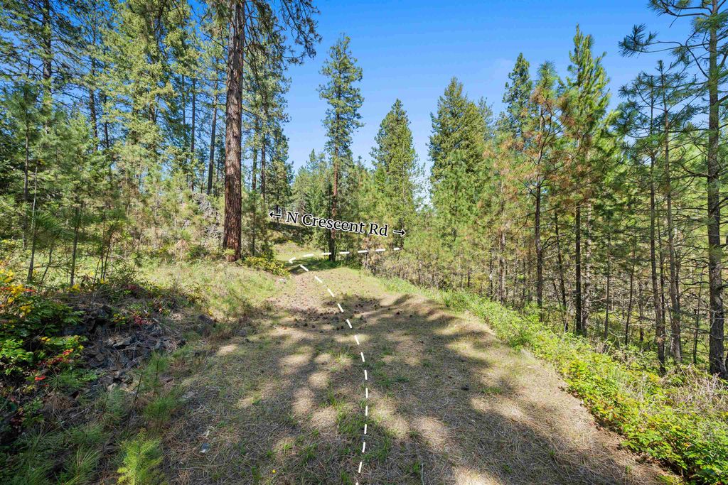 Photo of 230XX N Crescent Rd, Colbert, WA 99005 (MLS # 202616153)
