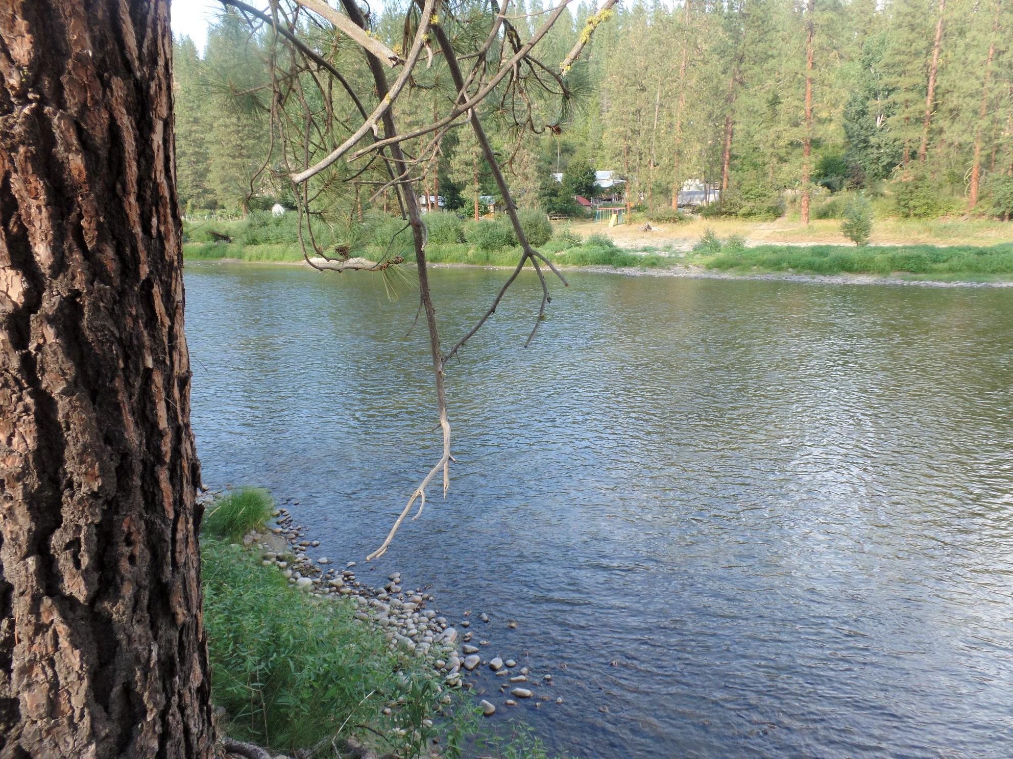 Photo 3 of 15 of Lot 19 Paradise Cove Rd land