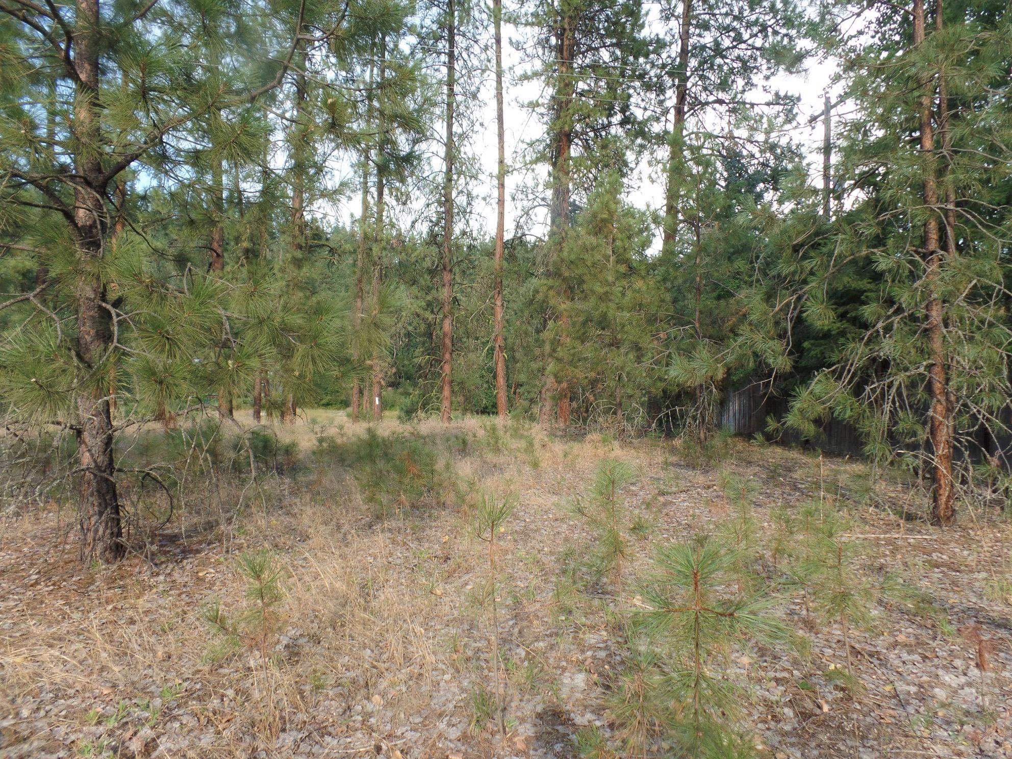 Photo 14 of 15 of Lot 19 Paradise Cove Rd land