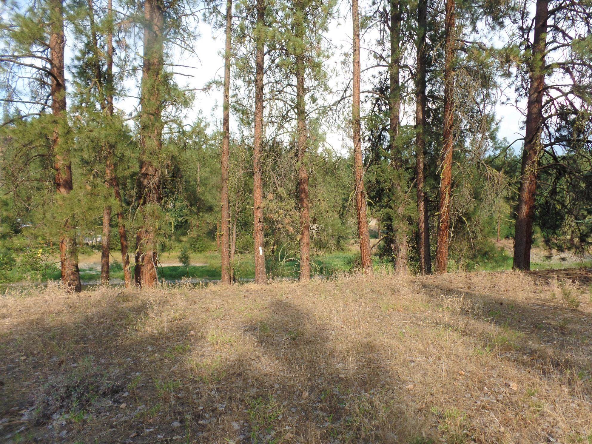 Photo 2 of 15 of Lot 19 Paradise Cove Rd land